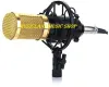 BM-800 Condenser Microphone 
